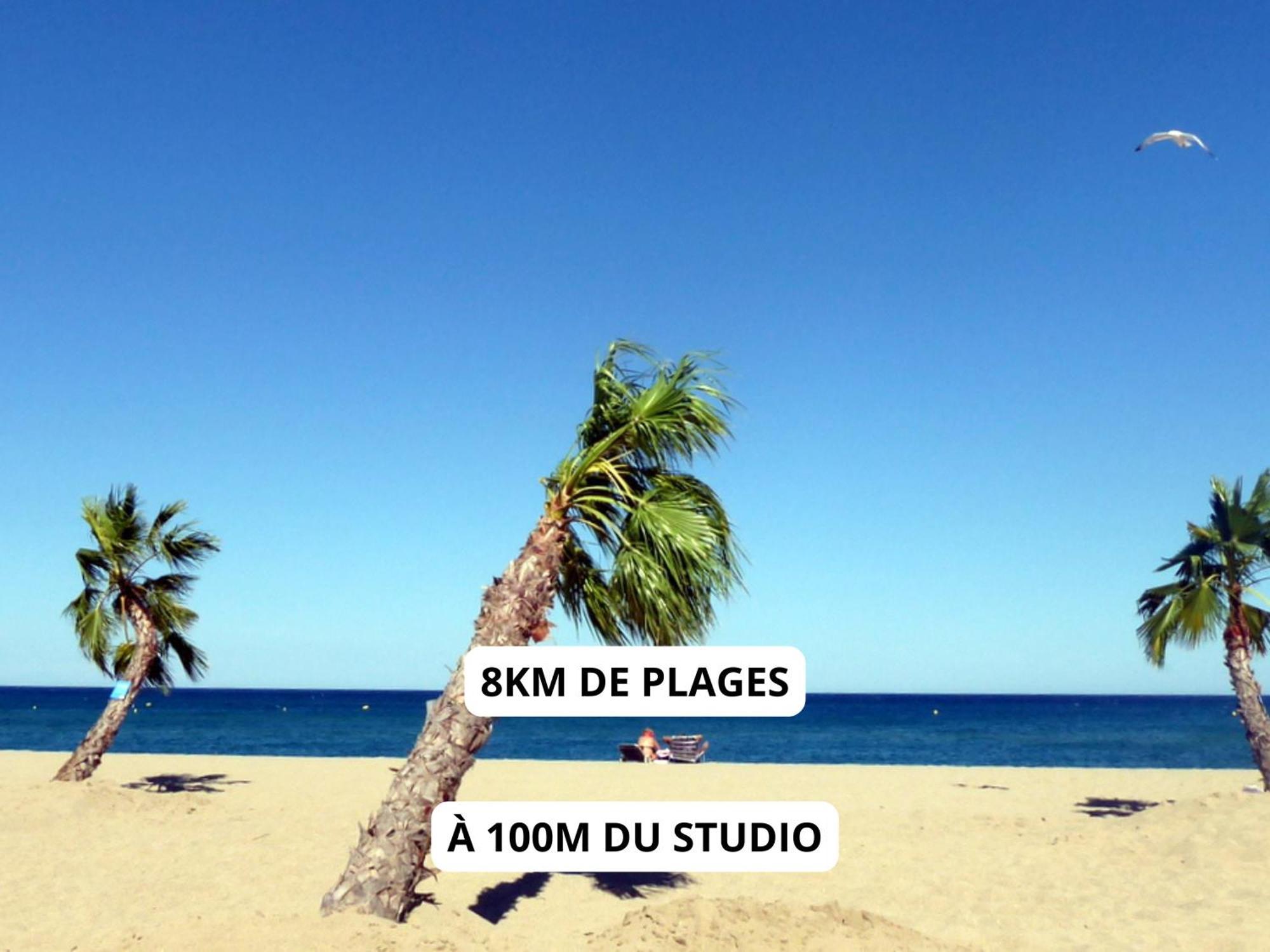 Appartement A 100M De La Plage - Terrasse & Parking Prive Le Barcarès Buitenkant foto